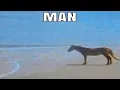 Man Horse Meme Analysis