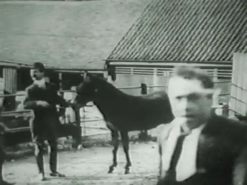 Tomkins Buys A Donkey (1908)