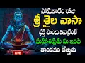 Download Lagu 🔴LIVE సోమవారం రోజు శ్రీ శైల వాసా  భక్తి పాటలు విన్నారంటే మహాశివుడు  మీ ఇంట తాండవం  చేస్తాడు