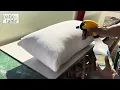 Keep Your Outdoor Furniture Fresh How to Clean Your Outdoor Furniture Cushions - Sunbrella Fabric