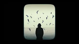                                               عمرو دياب   وهي زكريات دندنها