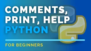 Comments Print Help functions in Python