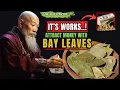 How To Attract MONEY With BAY Leaves 100 It Worked For Me