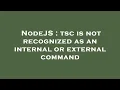 NodeJS tsc is not recognized as an internal or external command