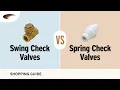 Differences Between Swing Check Valves and Spring Check Valves