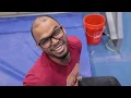 Gravity Vault Radnor Covid-19 Member