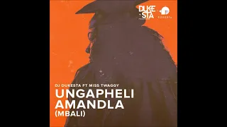dj dukesta ft miss twaggy ungapheli amandla mbali 