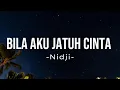 Download Lagu Nidji - Bila Aku Jatuh Cinta || Lirik Video