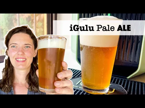 How to brew Mosaic Pale Ale in the iGulu Automated Brewer