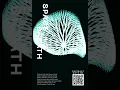 Space Breath Space Talks Creative Coding Generative Art