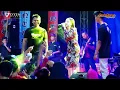 Download Lagu Kalih Welasku | Tasya Rosmala | Pemuda Gempar Wonopringgo | Lentera Dangdute Pekalongan