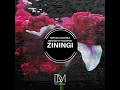 Ziningi