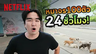 ผมจะให้อาหารหมาจร 100 ตัว ภายใน 24 ชั่วโมง @KyutaeOppaTV | Netflix