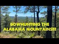 NORTH ALABAMA Public Land OPENER SHOTS FIRED