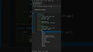 Master Python Inheritance in 4 Simple Steps