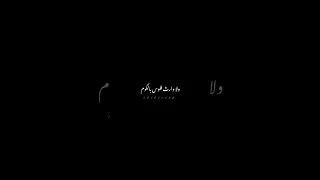 حالات واتس اب مجتش بمعلقة فضة ولا وارث فلوس بالكوم احمد شيبة دندنها