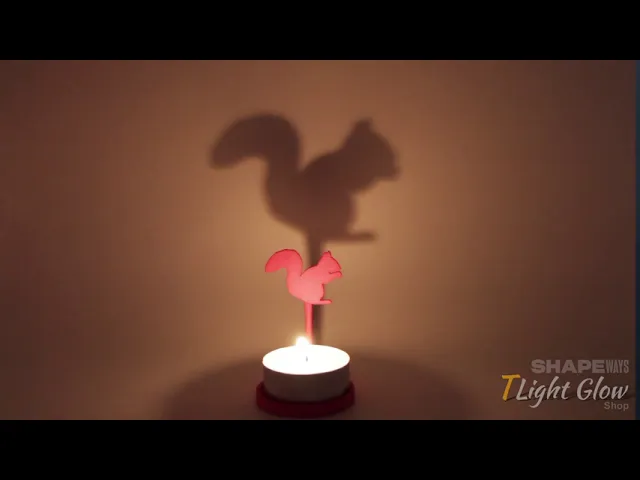 Animal Squirrel video thumbnail