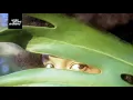 Erykah Badu - U Don't Have 2 Call (El Train Edit)