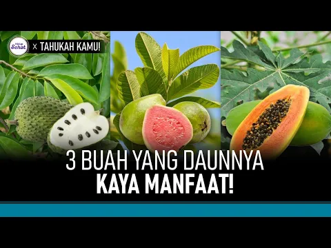 3 Buah Ini Daunnya Bermanfaat Bagi Kesehatan