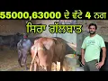 Download Lagu ਅੱਜ ਵੀ ਰੇਟ ਉੱਡ ਦੀਆ ਵਾਲੇ ਹੀ ਆ ਵੀਰ ਜੀ 9815965751