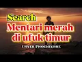  “Search – Mentari Merah di Ufuk Timur | Lagu Rock Legenda yang Menggetarkan Jiwa”