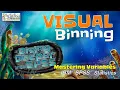 Create Groups by Visual Binning in SPSS Mastering Variables