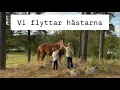 Download Lagu Vi flyttar hästarna!