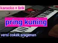 Download Lagu karaoke pring kuning sragenan#pring kuning tanpa vokal