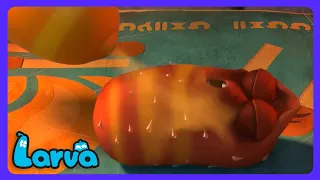 Larva - ¿Qué le pasa a Red? 😱 | Dibujos Infantiles | WildBrain Niños