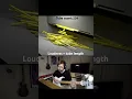 Download Lagu Audio visualizer simulation experiment #b3d
