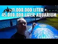 Lagu 11 Millionen Liter + 45 Millionen Liter Aquarium - Orcas in China!