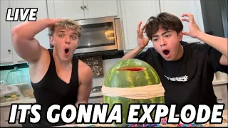 THE WATERMELONS GONNA BURST!! 😱