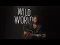 Kip Moore - Wild World (Official Audio)