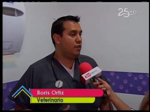 Cómo controlar los ladridos excesivos en perros