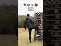 Download Lagu If animals glitched IRL
