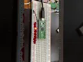 Knight rider LED effect created using a raspberry pi pico