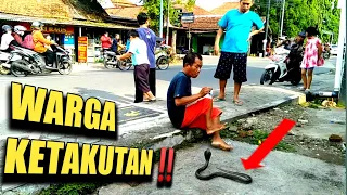 Download Detik - Detik digigit Ular King Kobra Mematikan‼️5 Menit Tak Tertolong @MbahBandotChannel MP3