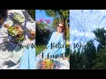 Download Lagu 🌿 Vintage dromen \u0026 Tijdloze vondsten 🛍️ ENORME antiek haul, mode, eten en gezellige dagen!