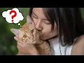 Do Cats Understand Kisses and Hugs