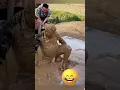 Download Lagu Mandi Lumpur #funny #shortsvideo #shorts #shortsviral #mandilumpur #shortsfeed