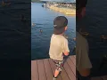 Catfish vs Duck