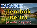 Download Lagu TEMBOK DERITA - ASMIN CAYDER Karaoke Dangdut HD Dengan Lirik