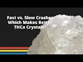 THCa Isolation Crystal Size Solvent Strategy and Temperature Control