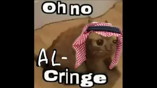 Download oh no cringe cat meme compilation MP3