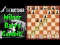Lagu French Advanced Milner-Barry Gambit -Top NEW Idea!