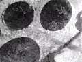The Telescopes "Flying (2005)"