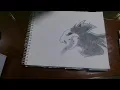 skull dog drawing D