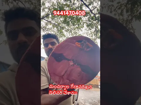 మంచిర్యాల గోదావరిఖని ￼ delivery చేశాము #tunafish #fish #viral #fishing #seafood #fishcutting