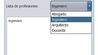 Ejemplo JComboBox Java Netbeans