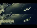 Hella Onyx - DOPE MAYNE Ft YWAF Visualizer